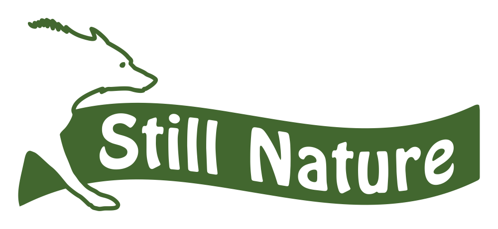 still-nature