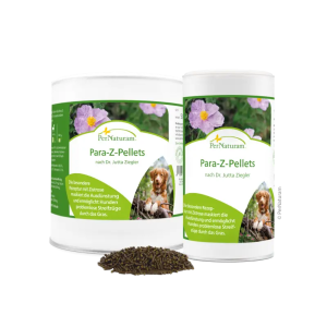 gruppe-pn-h-pb-para-z-pellets-web